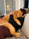 Une histoire pour mon animal